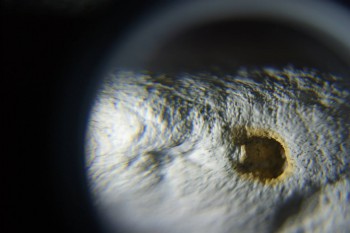 2017-02-08 13-19-38.JPG