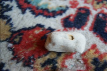 2017-02-08 13-19-04.JPG