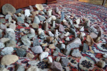 2017-02-08 13-18-18.JPG