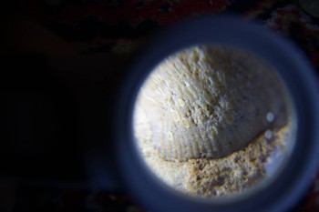 2017-02-07 08-56-40.JPG