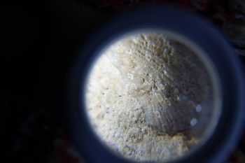 2017-02-07 08-56-56.JPG