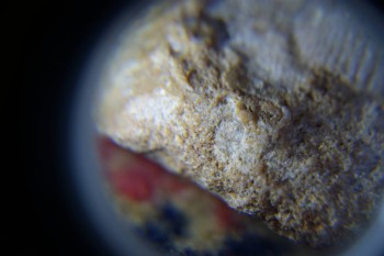 2017-02-07 08-51-12.JPG