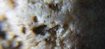 2017-02-08 13-22-30 (2).JPG