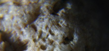 2017-02-08 13-23-02 (2).JPG