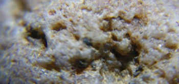 2017-02-08 13-23-38 (2).JPG