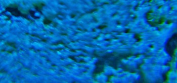 2017-02-08 13-23-58 (3).JPG