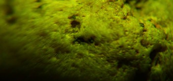 2017-02-08 13-23-58 (4).JPG