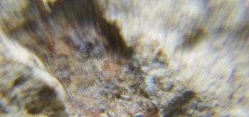 2017-02-08 13-24-50 (2).JPG