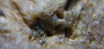 2017-02-08 13-23-24 (2).JPG