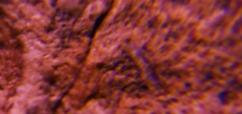 2017-02-08 13-25-14 (2).JPG