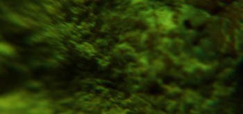 2017-02-08 13-25-06 (3).JPG