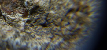 2017-02-08 13-24-50 (4).JPG