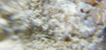 2017-02-08 13-25-06 (2).JPG