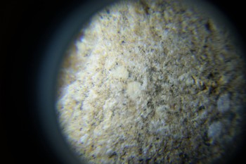 2017-02-07 09-00-22.JPG