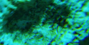 2017-02-08 13-25-26 (2).JPG