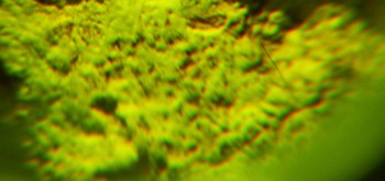 2017-02-08 13-25-26 (3).JPG