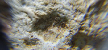 2017-02-08 13-25-26 (4).JPG