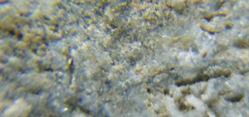 2017-02-05 11-45-24 (2).JPG