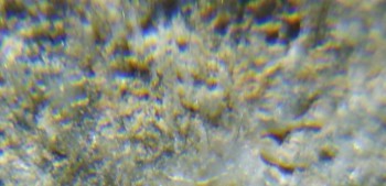 2017-02-05 11-45-24 (3).JPG