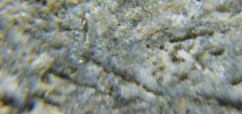 2017-02-05 11-45-24 (4).JPG