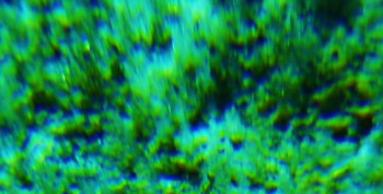 2017-02-05 11-45-24 (5).JPG