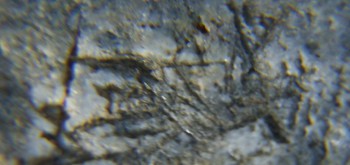 2017-02-05 11-46-24 (2).JPG