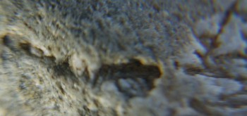 2017-02-05 11-47-02 (2).JPG