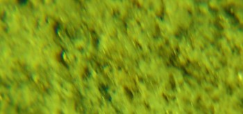 2017-02-05 11-47-36 (2).JPG