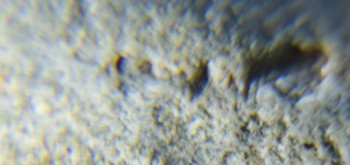 2017-02-05 11-47-26 (2).JPG