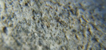 2017-02-05 11-47-40 (2).JPG