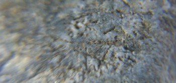 2017-02-05 11-48-12 (2).JPG