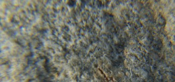 2017-02-05 11-48-24 (2).JPG