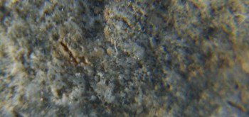 2017-02-05 11-48-24 (3).JPG