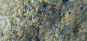 2017-02-05 11-48-40 (2).JPG