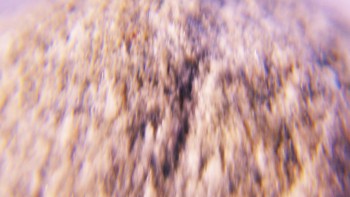 2017-02-05 11-49-34 (2).JPG