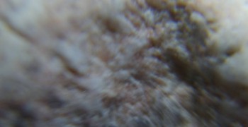 2017-02-05 11-50-36 (2).JPG