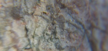 2017-02-05 11-51-06 (2).JPG