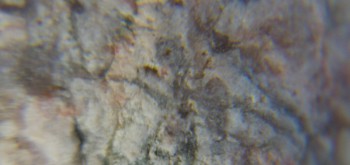 2017-02-05 11-51-06 (3).JPG