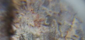 2017-02-05 11-51-18 (2).JPG