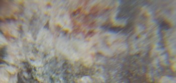 2017-02-05 11-51-18 (3).JPG