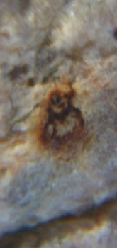 2017-02-05 11-51-26 (2).JPG