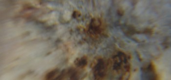 2017-02-05 11-52-28 (2).JPG