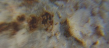 2017-02-05 11-52-50 (2).JPG