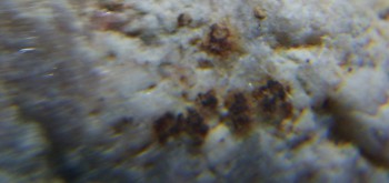 2017-02-05 11-53-36 (2).JPG