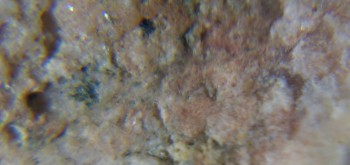 2017-02-05 11-54-22 (2).JPG