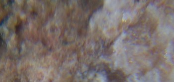 2017-02-05 11-54-22 (3).JPG