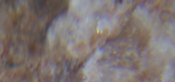 2017-02-05 11-54-22 (4).JPG