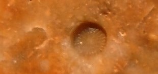 DSC02732.остров3 (2).jpg