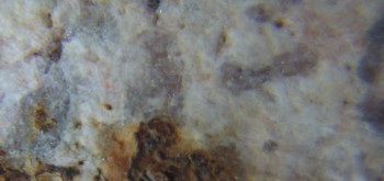 2017-02-05 11-55-34 (4).JPG