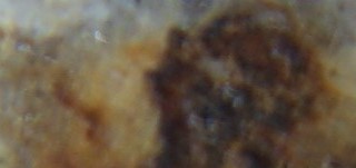 2017-02-05 11-55-34 (10).JPG